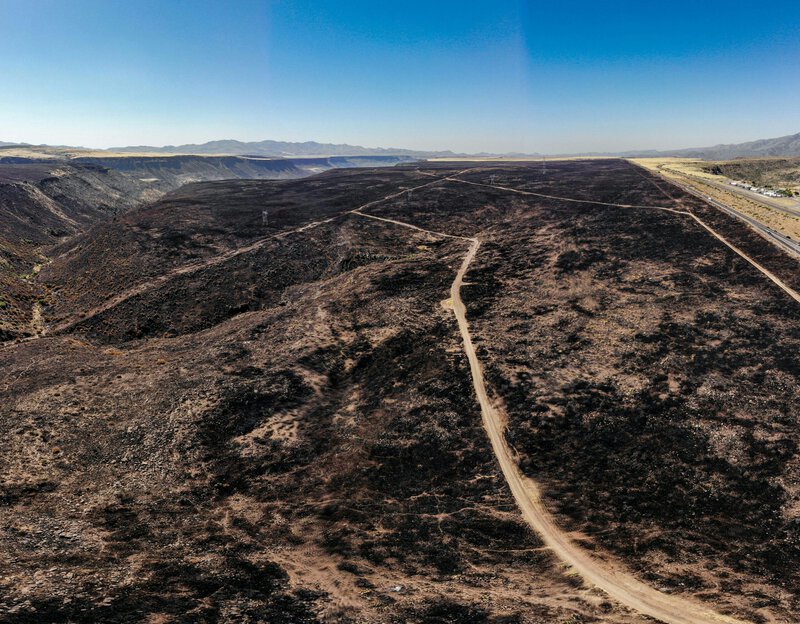 Heat Waves Cause 37% More Wildfire Burn Area, New Study Finds