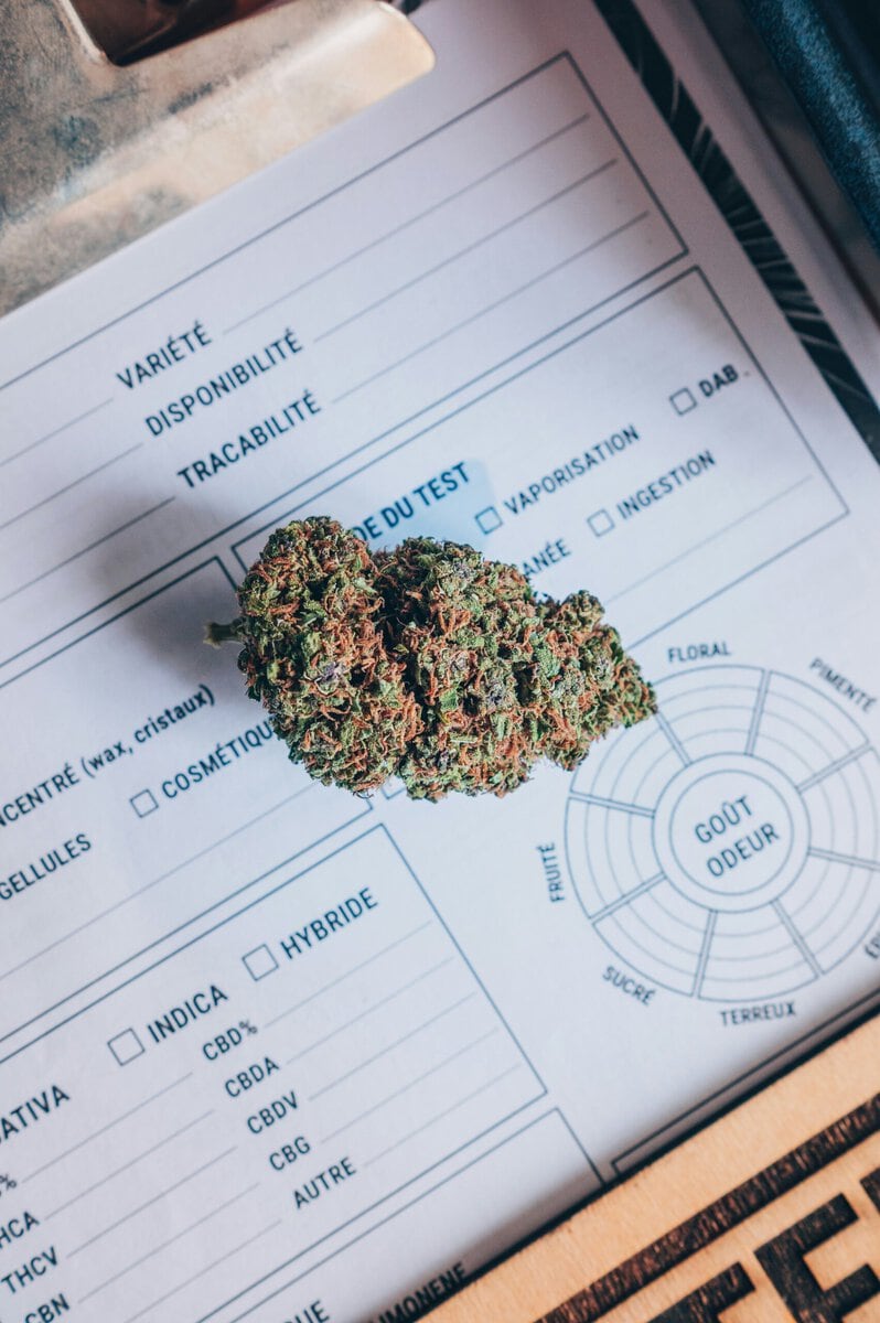 Cannabis and Sleep Science Goes Far Beyond THC, Studies Show