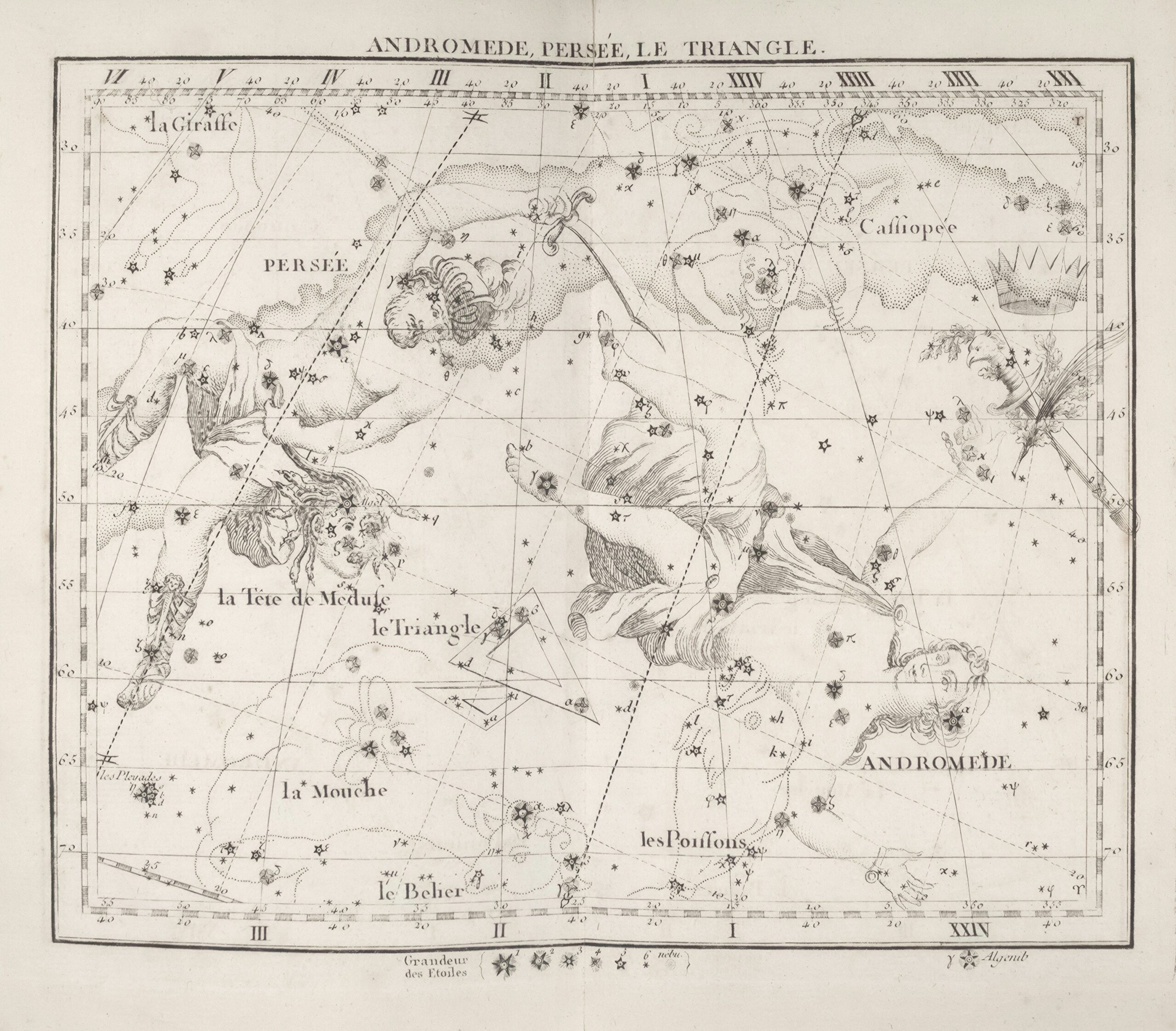 Constellation Names: Origins, Latin Rules & the IAU