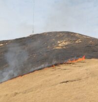 Heat Waves Drive 42% of Wildfire Burn Area — New Study Explains Why