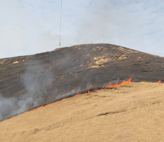 Heat Waves Drive 42% of Wildfire Burn Area — New Study Explains Why