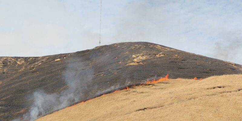 Heat Waves Drive 42% of Wildfire Burn Area — New Study Explains Why