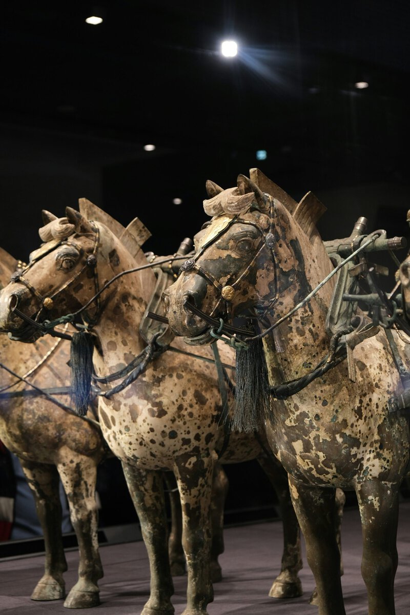 Ancient Chinese Warrior Weapons: What Qin Soldiers Actually Carried