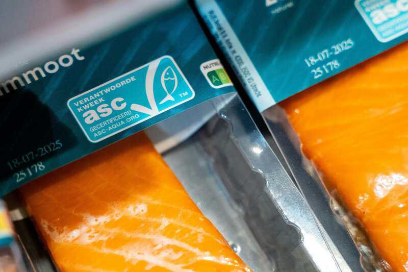 Farmed Salmon Omega-3: More Out Than In, New Study Finds