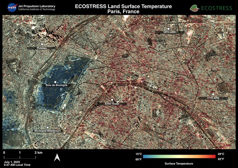 Heat Waves Drive 42% of Wildfire Burn Area &mdash; New Study Explains Why
