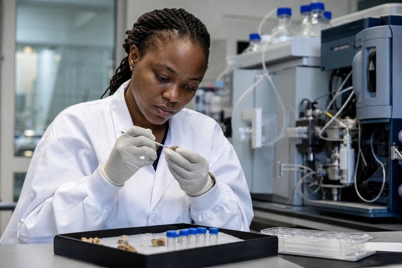 9 Surprising Facts About Homo naledi’s Ancient Sex Markers