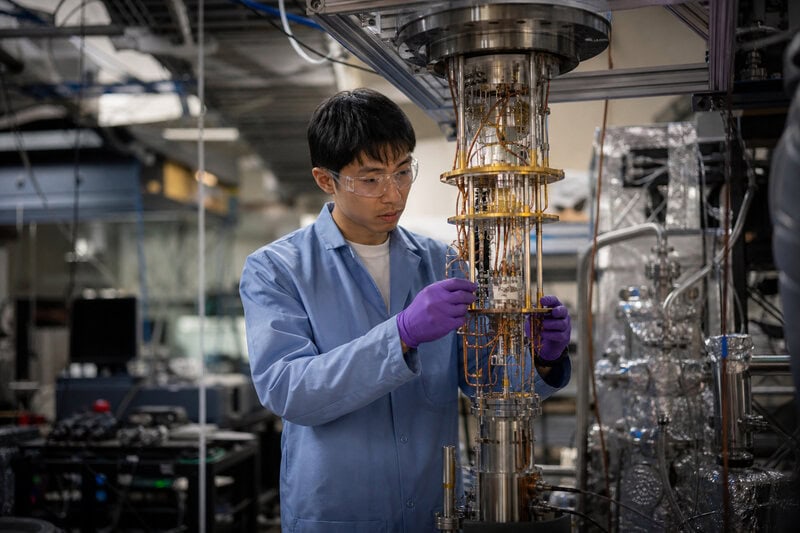 Strange Metal Physics: What Quantum Fisher Information Reveals