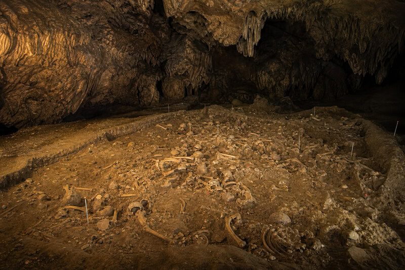 9 Surprising Facts About Homo naledi’s Ancient Sex Markers