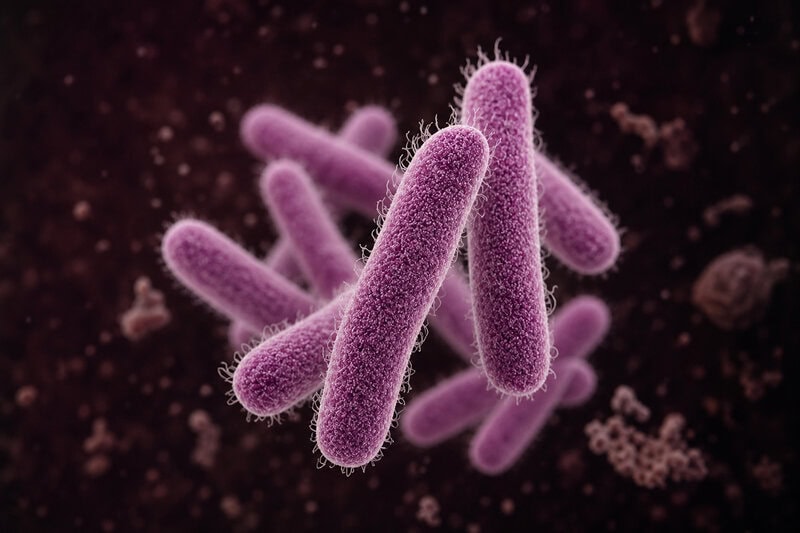 Shigella and Cryptosporidium Share One Weak Spot Scientists Can Target