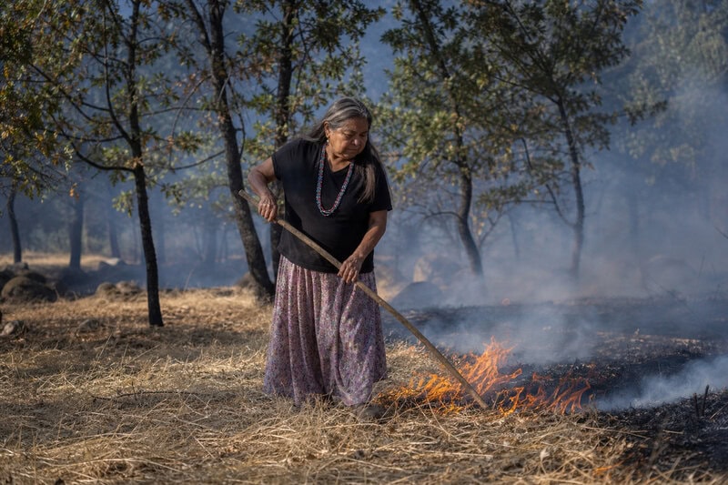 8 Reasons Maidu Cultural Burning Actually Works to Prevent Wildfires