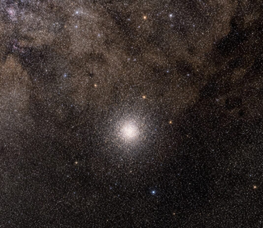 Milky Way Fossil Fragment Terzan 5 Reveals How Our Galaxy’s Bulge Formed
