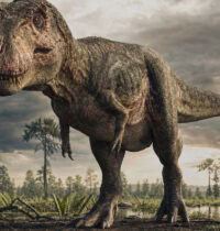 What Did Dinosaurs Really Look Like? Science vs. the Movies