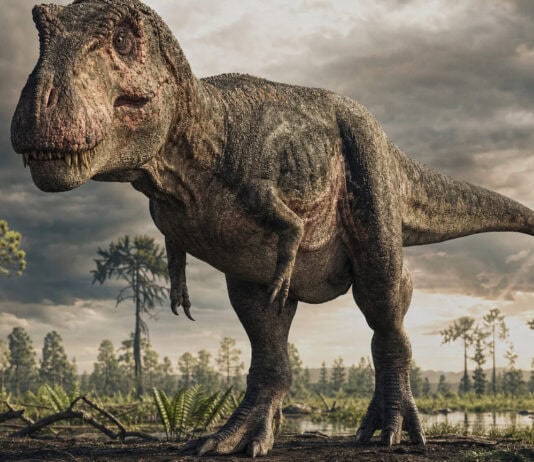 What Did Dinosaurs Really Look Like? Science vs. the Movies