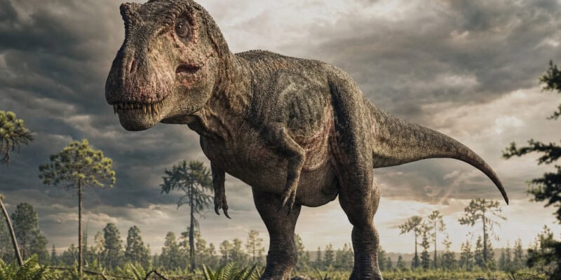 What Did Dinosaurs Really Look Like? Science vs. the Movies