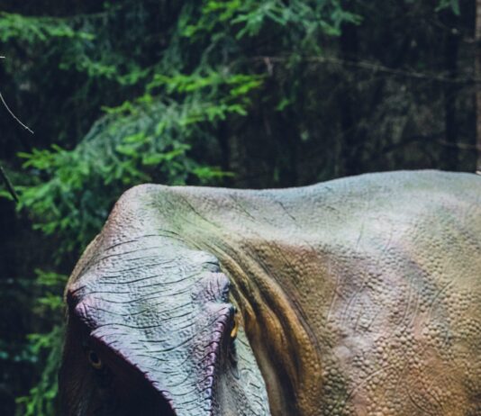Why Kids’ Dinosaur Obsessions Actually Train the Developing Brain