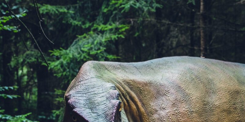Why Kids’ Dinosaur Obsessions Actually Train the Developing Brain