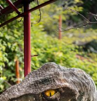Jurassic Park’s Raptors Should Have Had Feathers, and Alan Grant Knew It