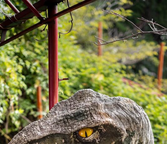 Jurassic Park’s Raptors Should Have Had Feathers, and Alan Grant Knew It