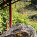 Jurassic Park’s Raptors Should Have Had Feathers, and Alan Grant Knew It