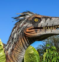 Jurassic World Rebirth’s Dinosaurs: What the Science Actually Gets Right