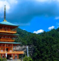 Ancient Japan Pilgrimage Trails Accidentally Built One of Earth’s Richest