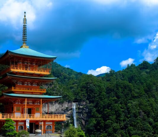 Ancient Japan Pilgrimage Trails Accidentally Built One of Earth’s Richest