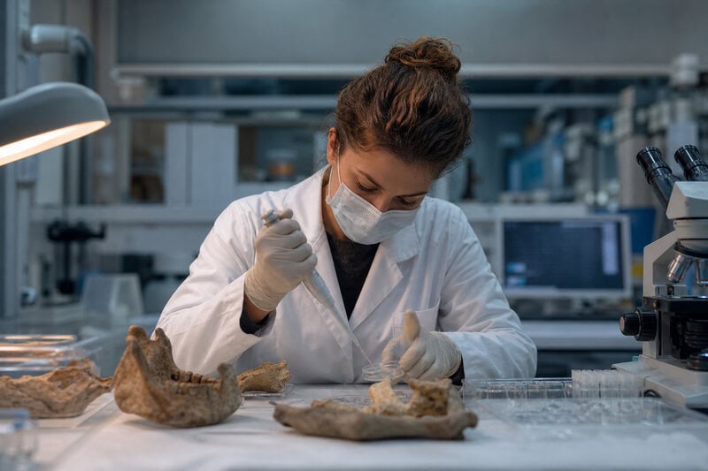 Neanderthal Inbreeding Wasn’t Their Doom &mdash; New DNA Study Rewrites the Story