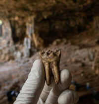 Ancient DNA Survived 50,000 Years in a South African Cave Despite the Heat