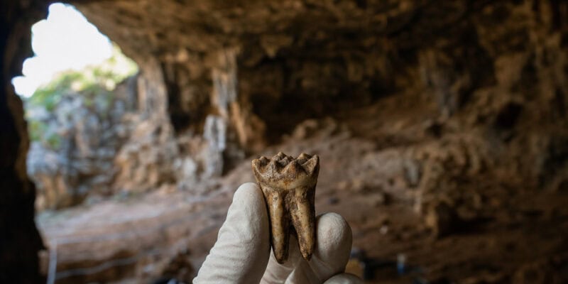 Ancient DNA Survived 50,000 Years in a South African Cave Despite the Heat