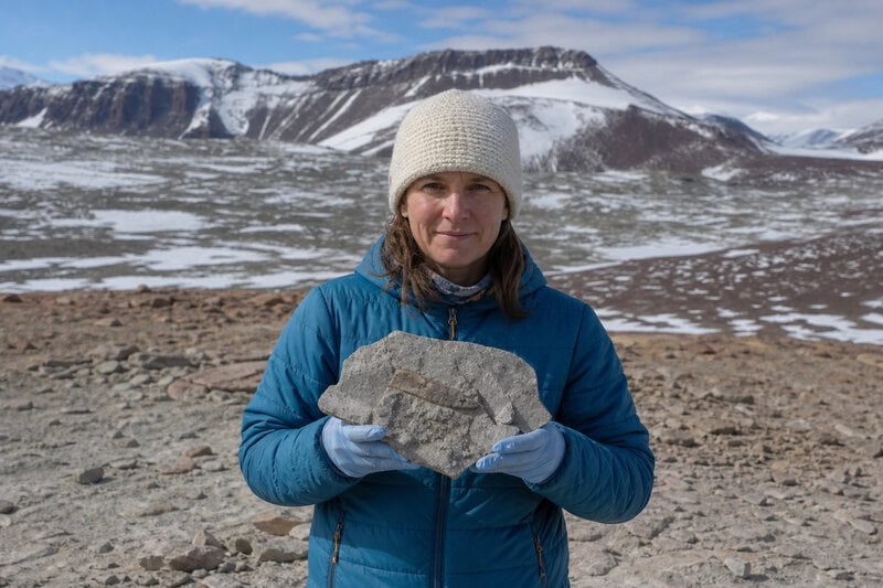 Antarctica’s First Dinosaur Bone Sat in a Museum Drawer for 40 Years