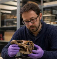 Antarctica’s First Dinosaur Fossil Spent 40 Years Mislabeled in a Drawer