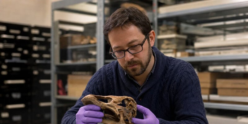 Antarctica’s First Dinosaur Fossil Spent 40 Years Mislabeled in a Drawer