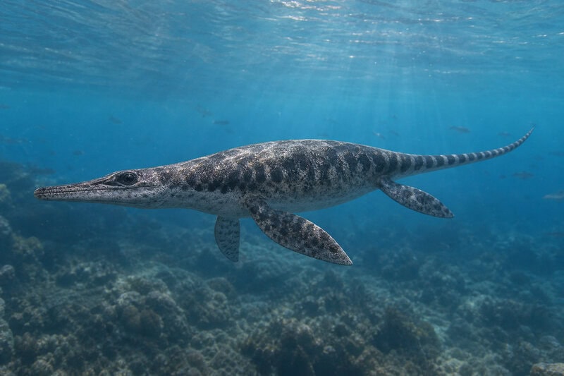 Fossil Preserves Liver, Stomach & Gut of a 245-Million-Year-Old Sea Reptile