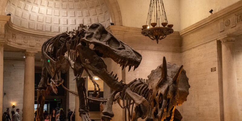 Dinosaur Bones Sold at Auction Hit $50M — Locking Scientists Out Forever