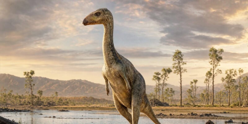 Bipedal Crocodile Relative Had Tiny Arms and a Beak—Not a Dinosaur