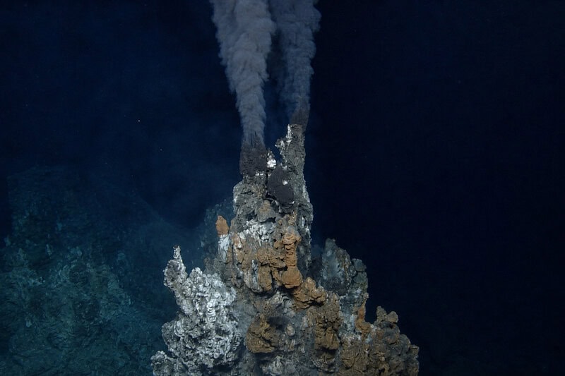 Deep-Sea Mining Threatens 62% of Hydrothermal Vent Mollusks, IUCN Warns