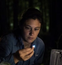 Rare Piedmont Blue Ghost Firefly Found in Mecklenburg County Park