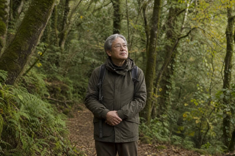 Ancient Japan Pilgrimage Trails Accidentally Built One of Earth’s Richest