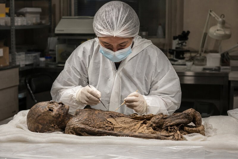 Mummy DNA Proves Smallpox Arrived With Colonizers, Not Before Them