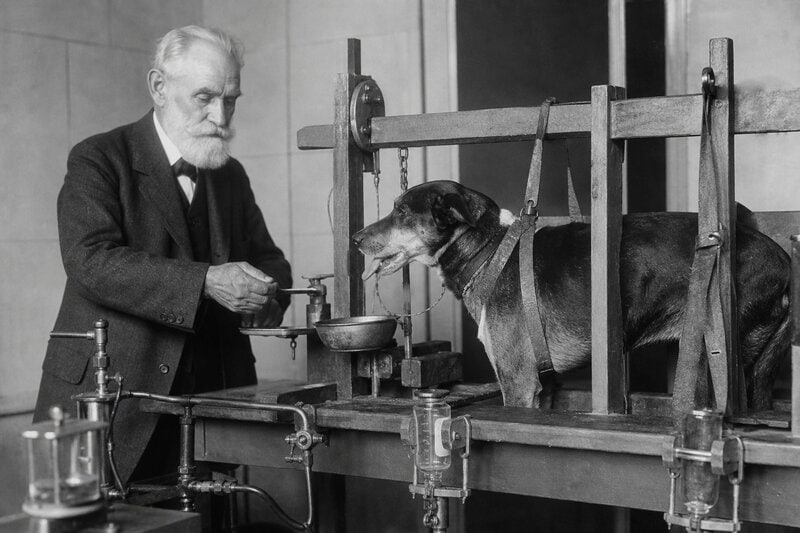 Pavlov’s Dogs Salivated Before the Bell — and Before There Was a Bell