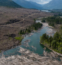 Clear-Cut Logging Can Make a 50-Year Flood Hit Every 3 Years