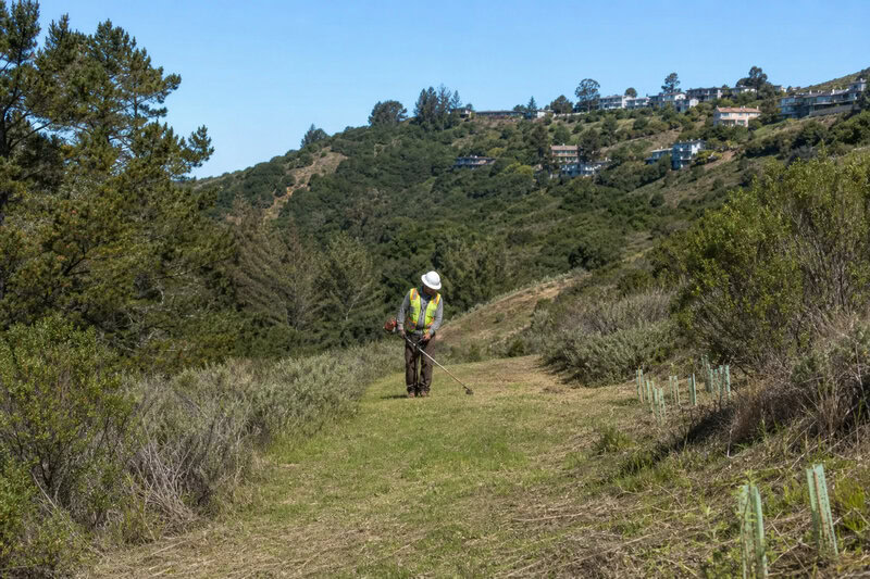 Wildfire Prevention Open Space: How $2M Protects San Mateo Neighborhoods