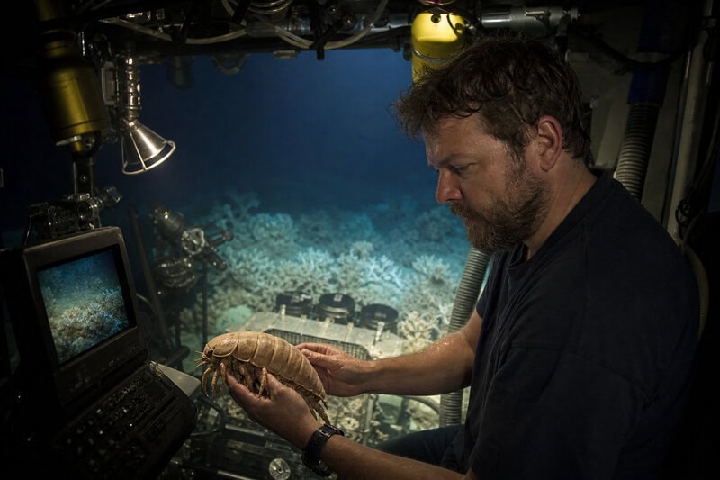 How Deep-Sea Giants Survive 5+ Years Without a Single Meal