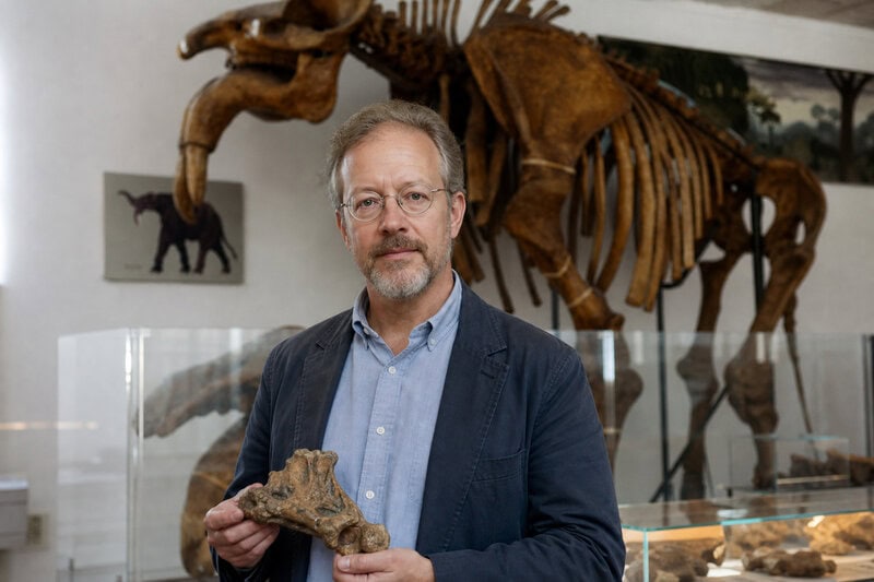 Fossilized Mammal Teeth Show Rapid Diversification Right After Dinosaurs Died