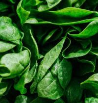 Leafy Greens May Cut COPD Risk by 16%, Large UK Study Finds