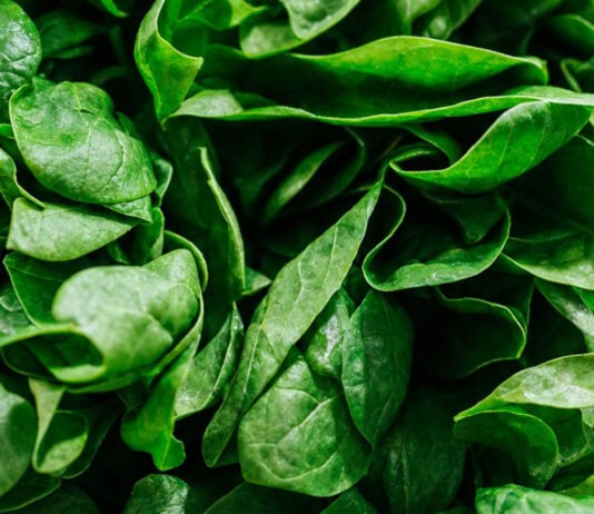 Leafy Greens May Cut COPD Risk by 16%, Large UK Study Finds
