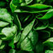 Leafy Greens May Cut COPD Risk by 16%, Large UK Study Finds