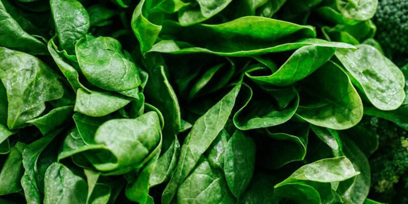 Leafy Greens May Cut COPD Risk by 16%, Large UK Study Finds