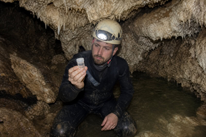 New Cavefish Species Found Under a U.S. Army Base Had Hidden There for Ages