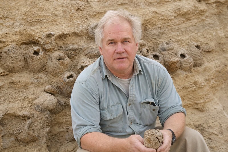 Some Dinosaurs Laid Soft, Leathery Eggs — and We Almost Missed It